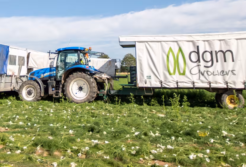 Tractor in a field with a dgm growers trailer