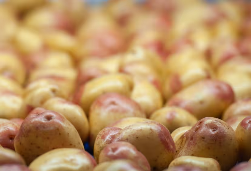 Potatoes