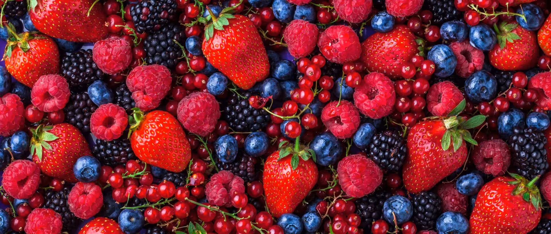 Fruit selection strawberries, raspberries, blueberries, blackberries