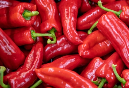 Red Chillies
