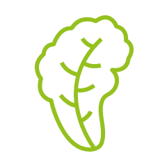 Salad Leaf Icon