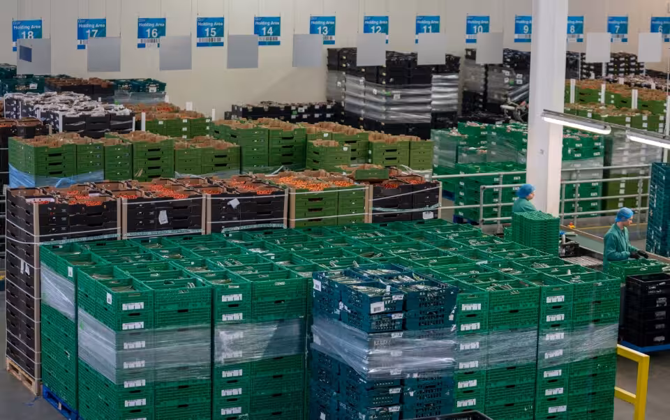 Warehouse of green containers