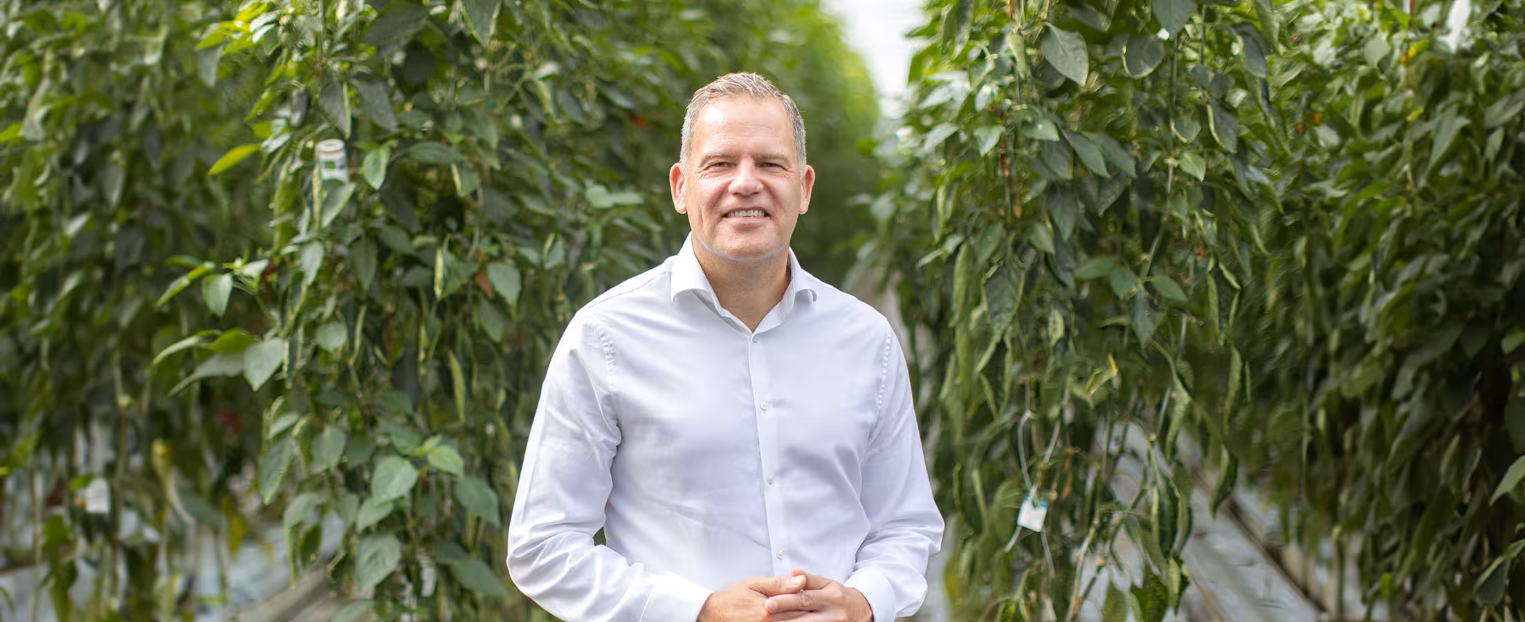 CEO Martyn Fletcher at Thanet Earth Greenhouse facility