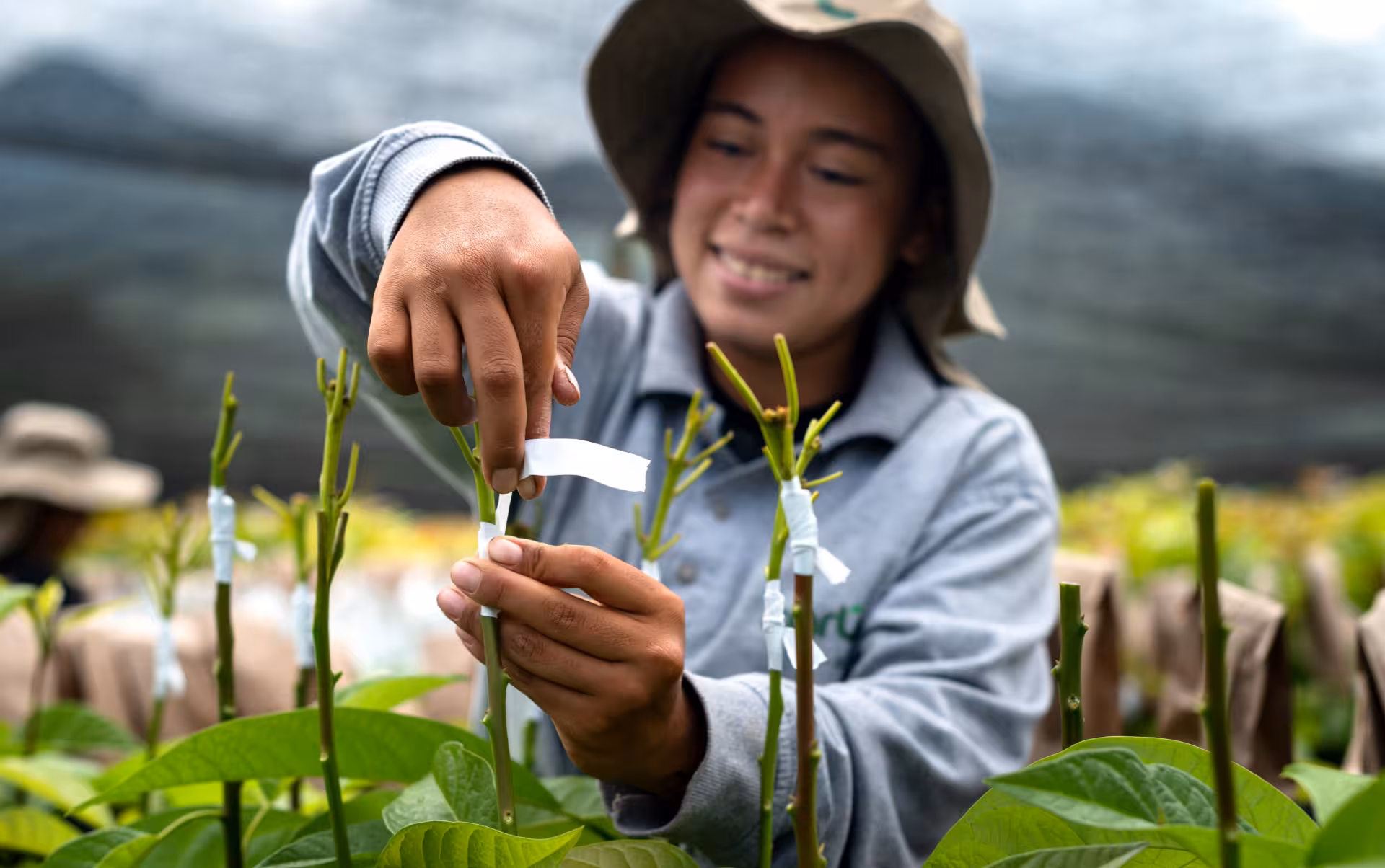 Woman smiles as she labels plants at an Avocado farm.