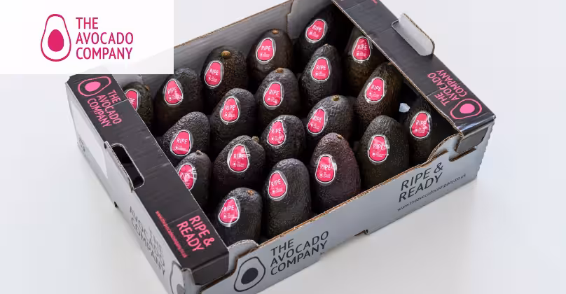 Box of Avocados