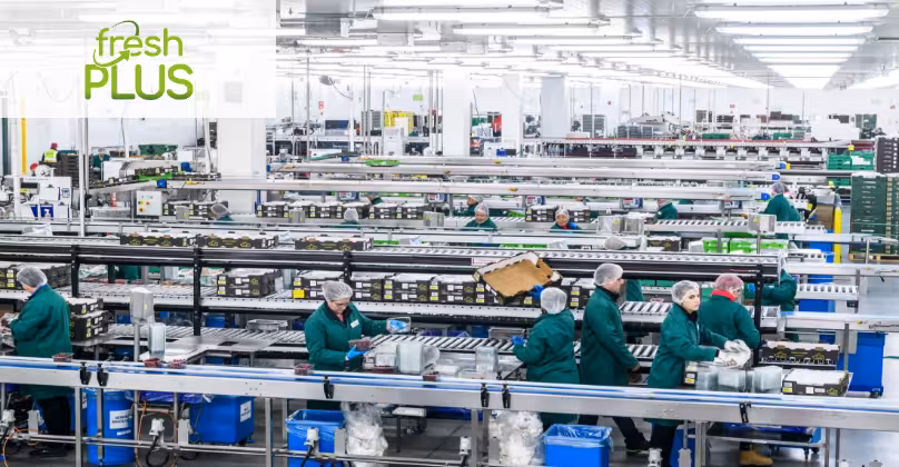 Fresh Plus warehouse