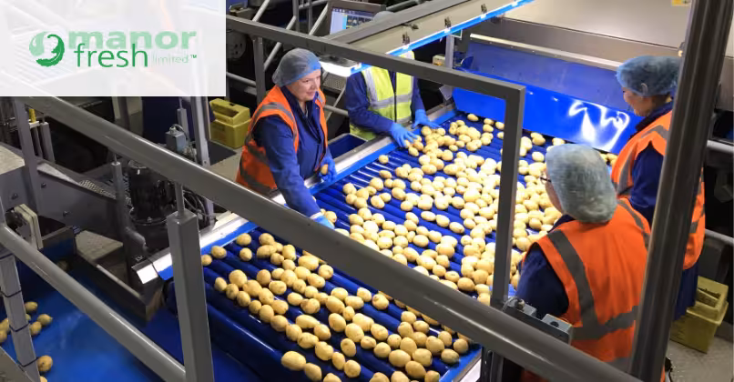 People check fruit on a conveyor