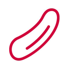 Icon Cucumber